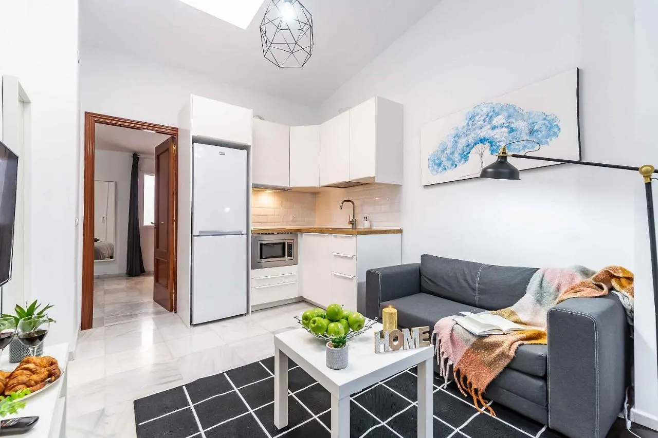 Atico Premium - Malaga City Center Apartment