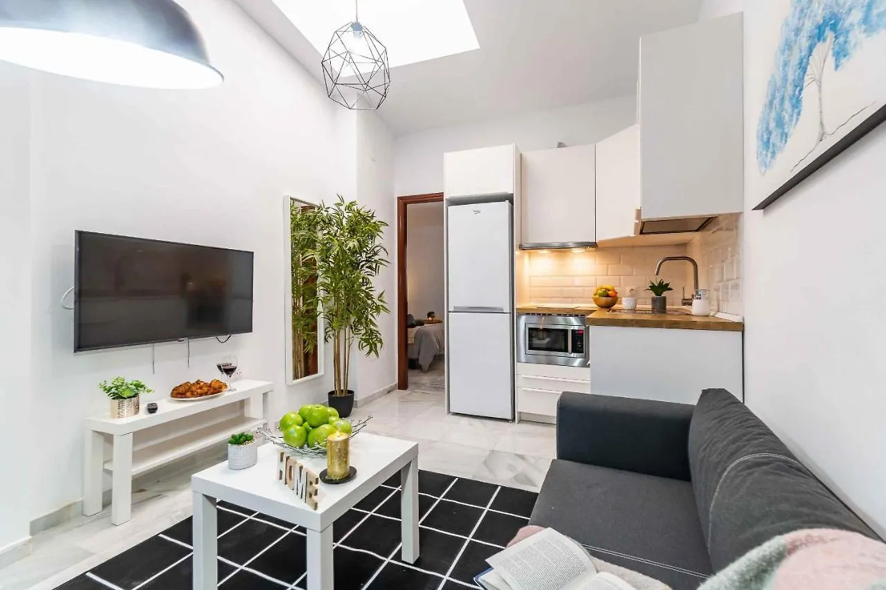 Apartment Atico Premium - Malaga City Center