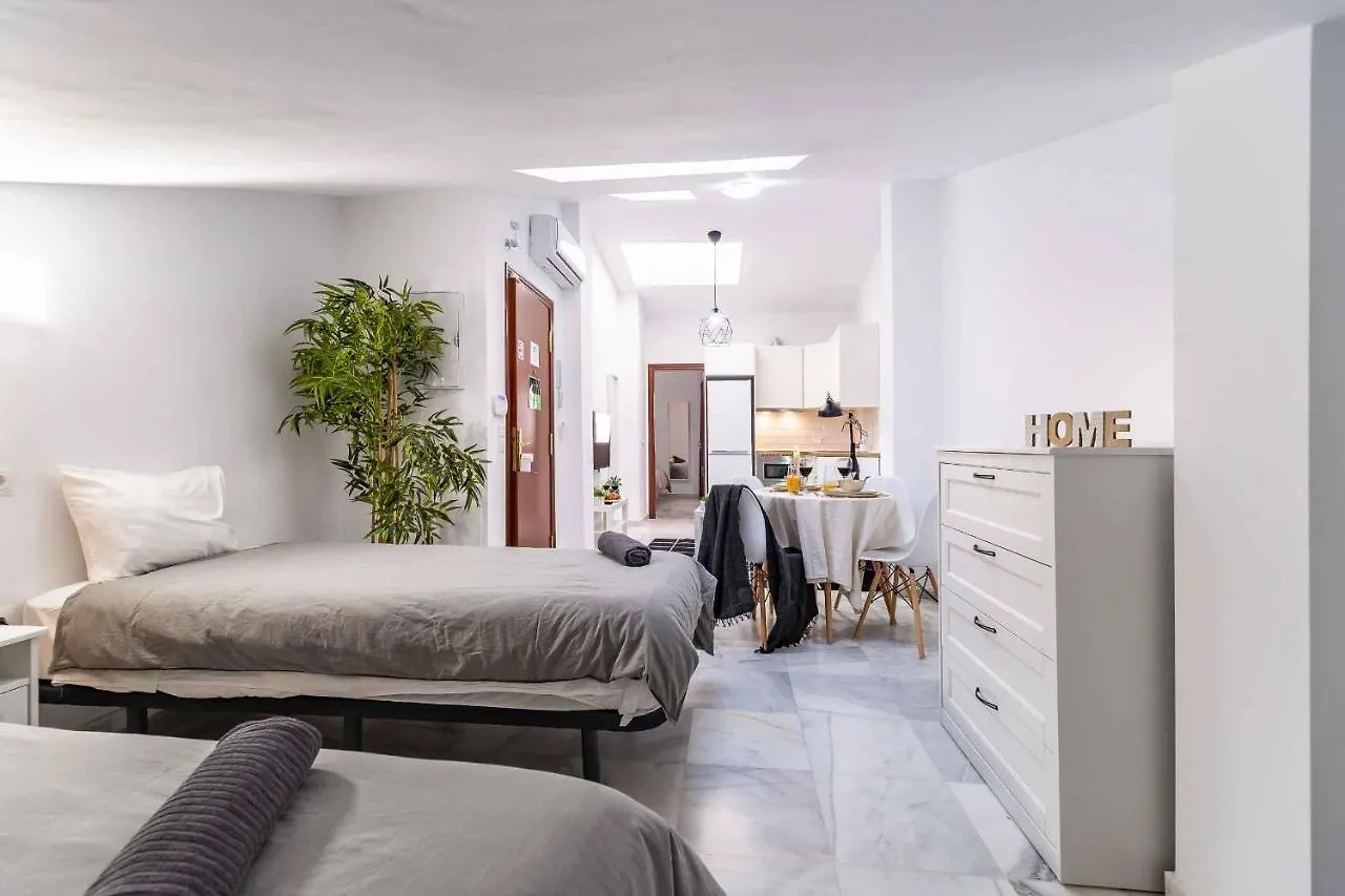 Atico Premium - Malaga City Center